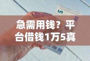 急需用钱？平台借钱1万5真实案例解析+避坑指南（附流程截图）