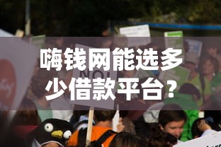 嗨钱网能选多少借款平台？真实体验帮你避坑