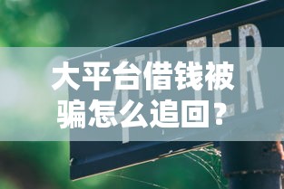 大平台借钱被骗怎么追回？避坑指南教你守住血汗钱