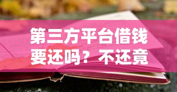 第三方平台借钱要还吗？不还竟有这些法律风险！