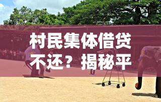 村民集体借贷不还？揭秘平台乱象背后的真相