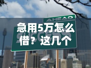 急用5万怎么借？这几个平台靠谱又好下款！