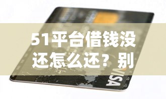 51平台借钱没还怎么还？别慌！试试这些解决办法