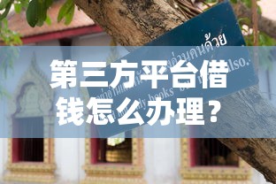 第三方平台借钱怎么办理？手把手教你避坑指南