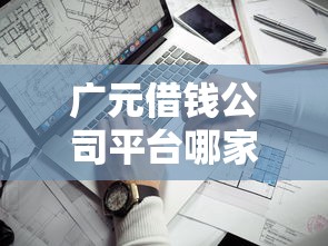 无视网黑征信黑口子？整合5个贷款网站平台