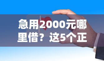 急用2000元哪里借？这5个正规平台七天放款快审核松！