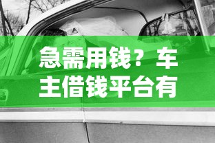 急需用钱？车主借钱平台有哪些靠谱选择？