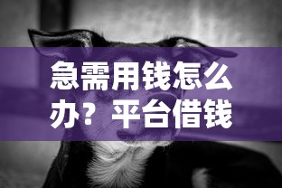 急需用钱怎么办？平台借钱这5大好处你知道吗