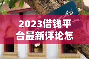 2023借钱平台最新评论怎么写？手把手教你避坑指南