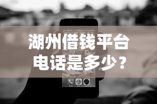 湖州借钱平台电话是多少？这3个方法帮你快速查清！