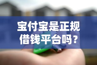 宝付宝是正规借钱平台吗？一篇文章说透它的贷款功能