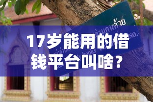 17岁能用的借钱平台叫啥？避坑指南必看