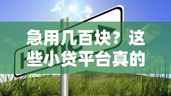 急用几百块？这些小贷平台真的靠谱吗？