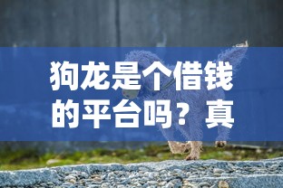 狗龙是个借钱的平台吗？真实使用体验+避坑指南