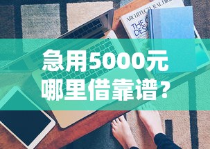 急用5000元哪里借靠谱？这5个平台利息低、审核快，真实评测！