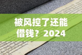 被风控了还能借钱？2024年这5个平台靠谱！