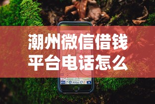 潮州微信借钱平台电话怎么找？这份攻略助你轻松借款