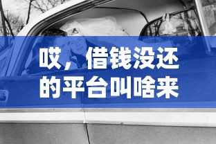 哎，借钱没还的平台叫啥来着？这些坑千万别踩！