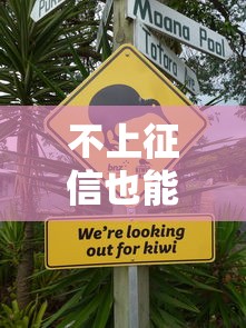 不上征信也能借钱？这些平台或许能帮你应急！