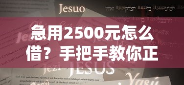 急用2500元怎么借？手把手教你正规平台借款攻略