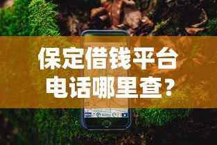 保定借钱平台电话哪里查？这份联系方式指南请收好