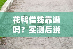 花鸭借钱靠谱吗？实测后说说真实使用体验