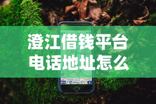 澄江借钱平台电话地址怎么查？这份超全指南快收好