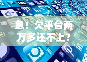 急！欠平台两万多还不上？5个实用方法帮你解决难题