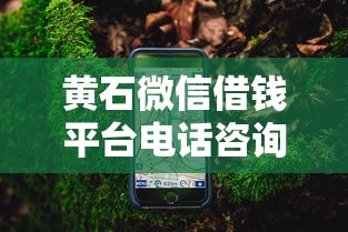 黄石微信借钱平台电话咨询指南，急用钱必看！