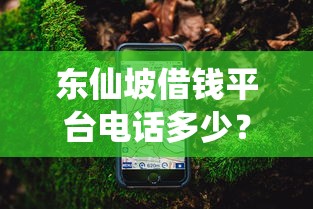 东仙坡借钱平台电话多少？这份攻略手把手教你找对号码