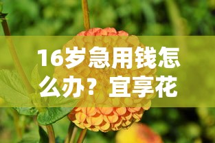 16岁急用钱怎么办？宜享花平台靠谱吗？这些细节要注意！