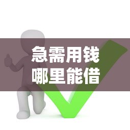 急需用钱哪里能借一年后还？这5类靠谱平台必看攻略