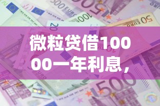 武汉不看征信负债的贷款：公布五个应急贷款平台