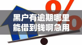正规低息网贷平台排名第一：整理五个不审核秒下款的高炮口子