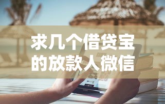 求几个借贷宝的放款人微信怎么找，整合5个凭支付宝花呗贷款的平台