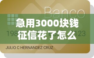 急用3000块钱征信花了怎么办，罗列5个支付宝都贷款平台