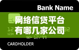 网络信贷平台有哪几家公司好下款：看看这五个大额贷款平台