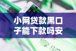 小网贷款黑口子能下款吗安全吗，分享5个车贷款平台