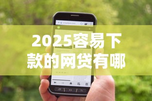 2025容易下款的网贷有哪些：整合5个有没有当前逾期能下款的口子