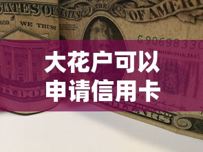 大花户可以申请信用卡吗安全吗？试试这5个贷款口子平台