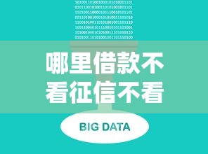 哪里借款不看征信不看大数据：推荐5个不查征信借贷软件
