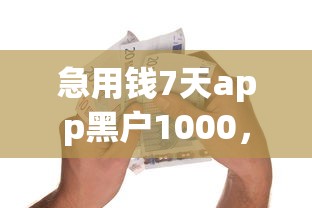 急用钱7天app黑户1000，梳理五个48期贷款平台