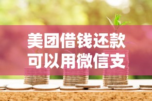 美团借钱还款可以用微信支付吗？整理五个借款平台最好借钱