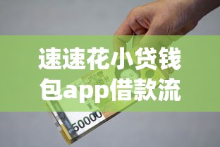 速速花小贷钱包app借款流程，公布五个黑户烂户能过的购物平台