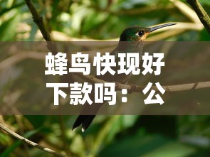 蜂鸟快现好下款吗：公布5个有那些平台可以借钱