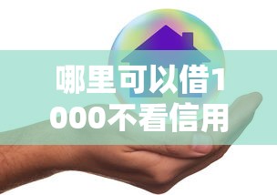 哪里可以借1000不看信用，整理5个网上贷款平台好