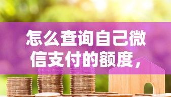怎么查询自己微信支付的额度，试试这5个什么贷款平台利息低