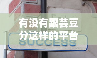 有没有跟芸豆分这样的平台呢：分享五个汽车抵押贷款平台好