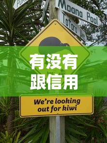 有没有跟信用飞一样好下款的，看看这5个不用芝麻分能借的平台
