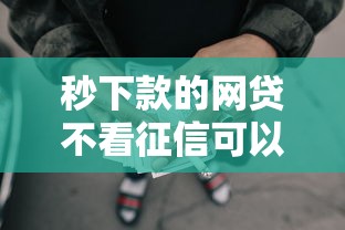 秒下款的网贷不看征信可以吗：推荐5个小额正规贷款平台